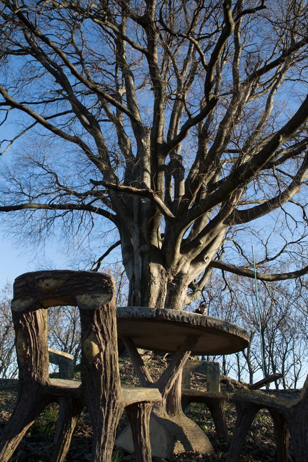 Al Bagolaro Panzió Crocetta del Montello Kültér fotó
